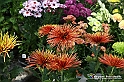 VBS_6799 - FLOREAL Ottobre 2022 - Tre giorni di fiori, piante e bellezza